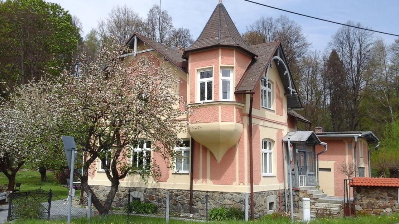 Apartmany Villa Magnolie Lipova Lazne Exteriör bild